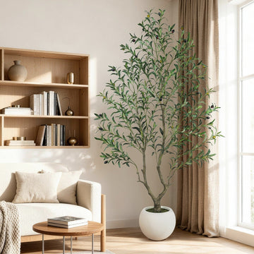 The Art of "Clean Luxury": How to Elevate Your Living Space with Intention
